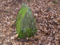6  Saverne LE WASSERWALD 05 03 2017 24
